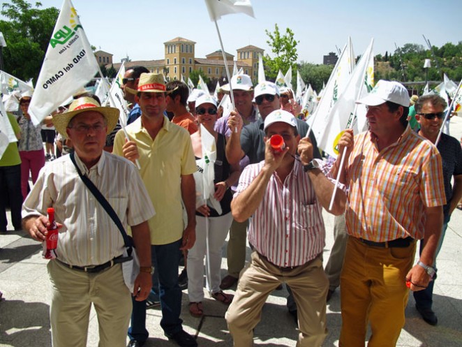 Protesta de abulenses convocados por UPA ante las Cortes de Castilla y León por los recortes de los presupuestos agrarios. 26 junio.