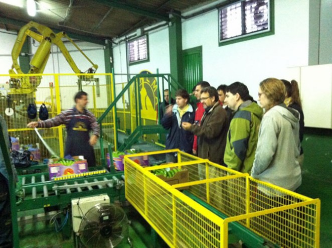 Alumnos de Agrónomos, Montes y de Ciencias Ambientales de UCAV han hecho un viaje de prácticas a Canarias, del 2 al 7 de febrero, visitando, entre otros lugares, una  plantación de platanera ecológica. 5 febrero 2013.