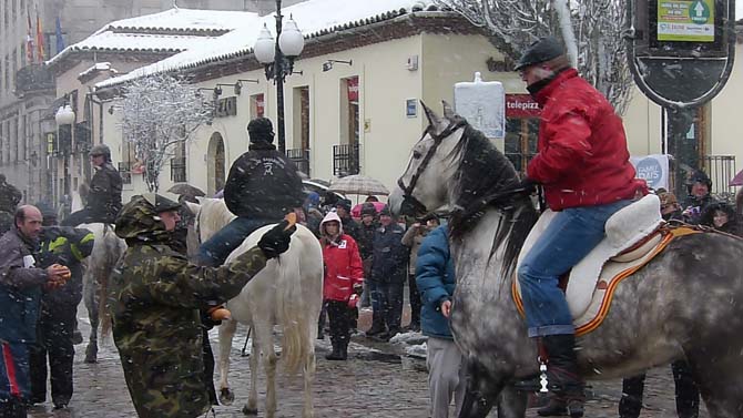 Bendición de San Antón en 2014.
