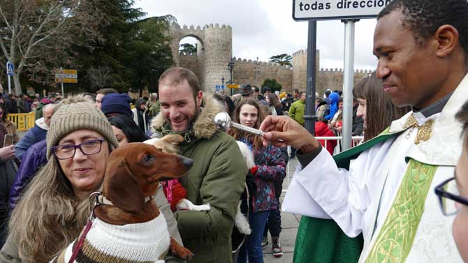 Bendición de animales con motivo de San Antón.