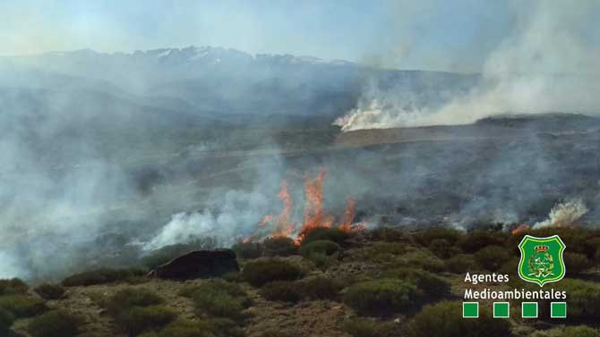 Incendio forestal en La Herduijuela.