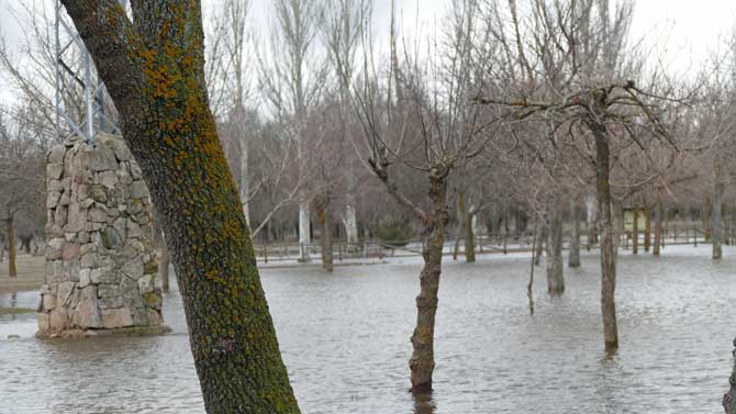 Imagen de archivo del parque de El Soto inundado.