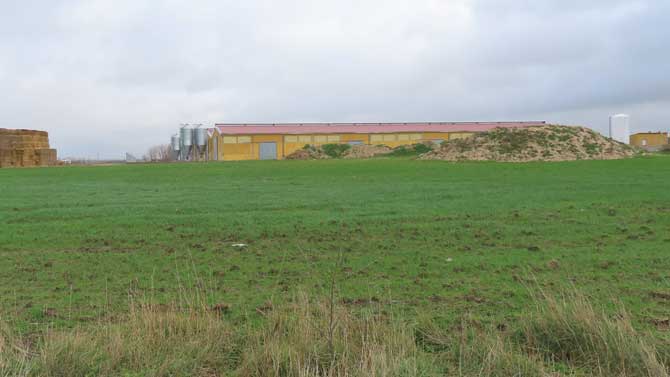 Granja porcina en Espinosa de los Caballeros.