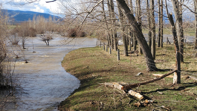 El Río Adaja tras las precipitaciones de diciembre.