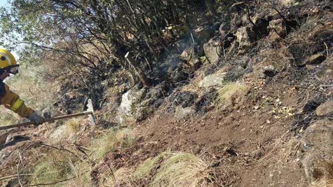 Trabajos forestales en el sur de la provincia de Ávila.