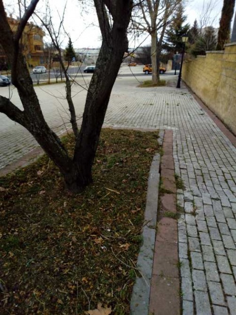 Foto enviada por Avilared