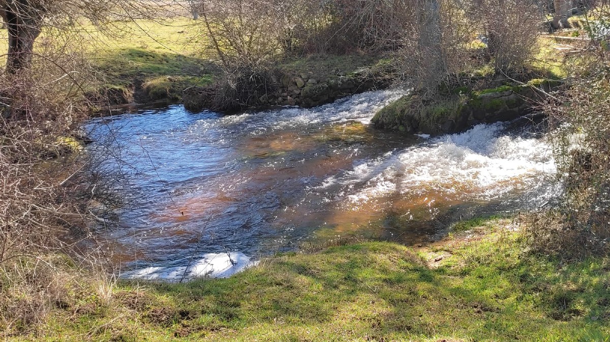 El río Adaja cerca de Ávila, este miércoles.