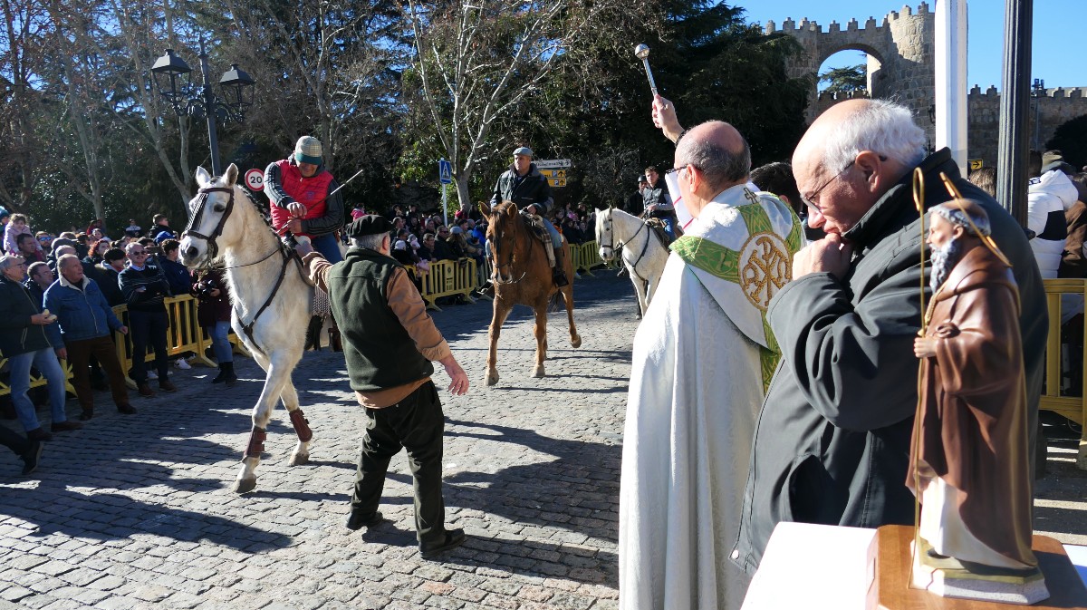 Bendici&oacute;n de animales con motivo de la festividad de San Ant&oacute;n.