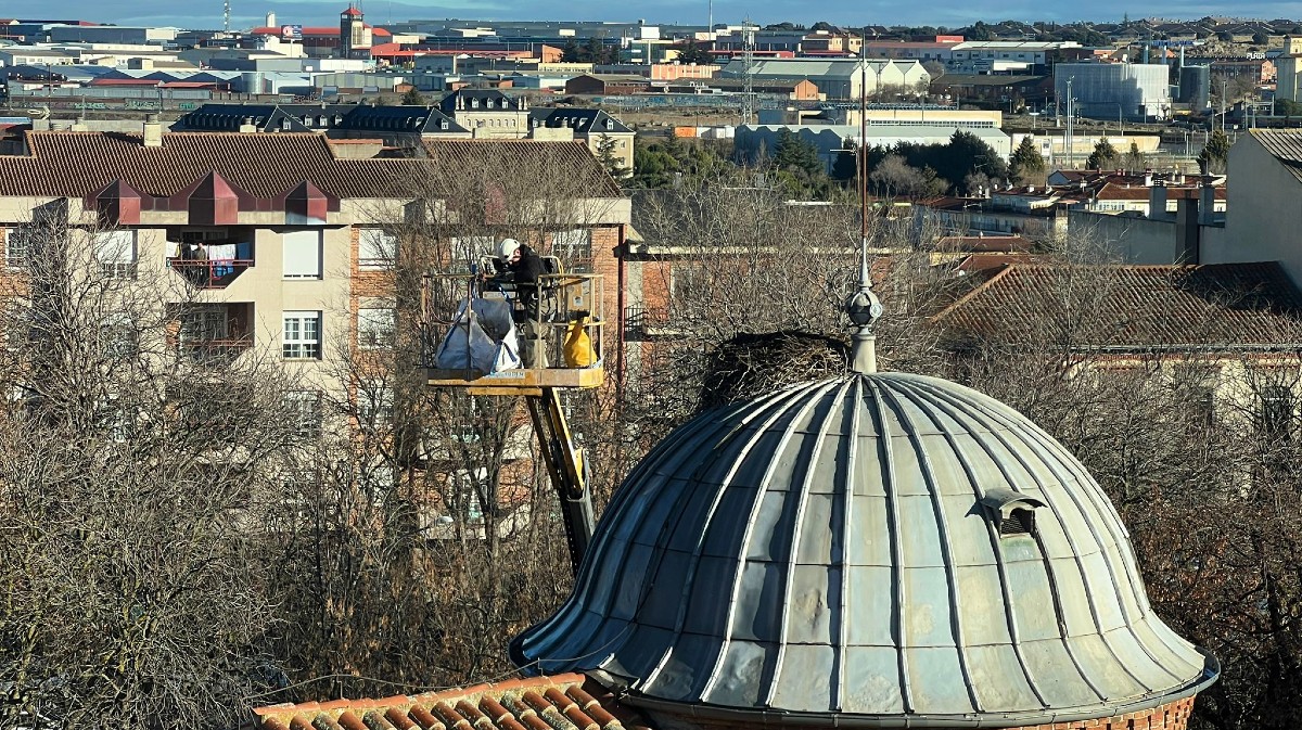 Retirada del nido de cig&uuml;e&ntilde;a del palacete Nebreda.
