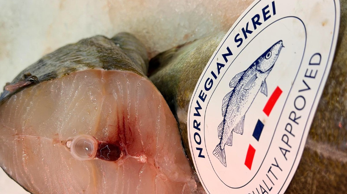 Bacalao skrei en la pescader&iacute;a De Buen Puerto.