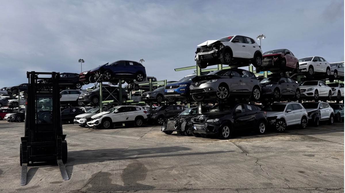 Veh&iacute;culos en Cesvimap