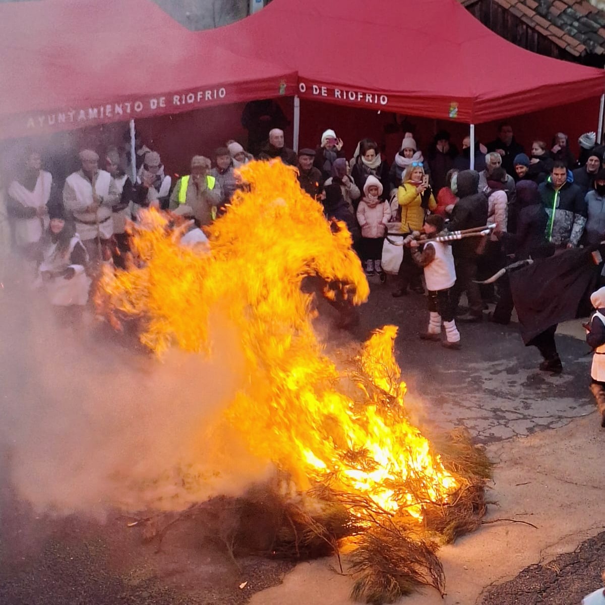 Cencerrada de San Antón en Riofrío.