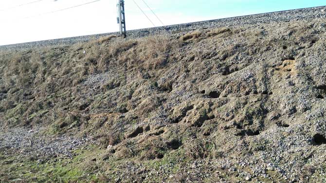 Madrigueras junto a una vía férrea.