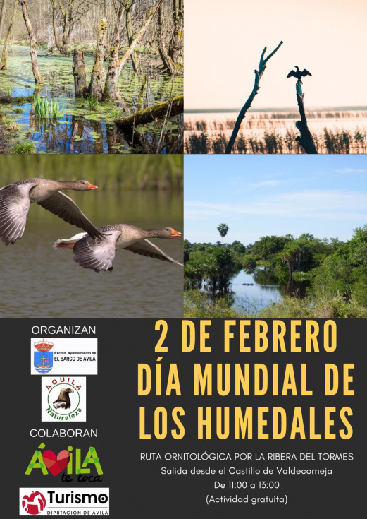 Cartel de la actividad