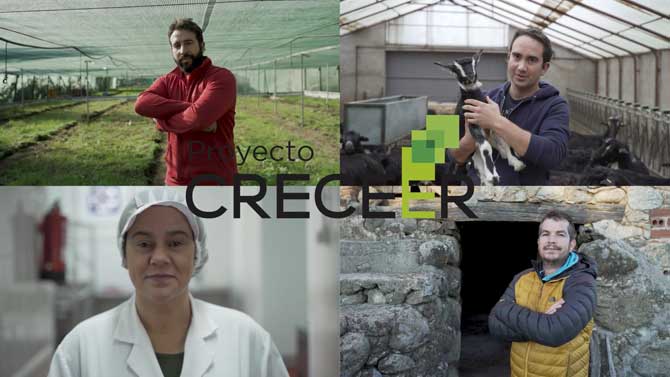 Imagen del proyecto Creceeer.