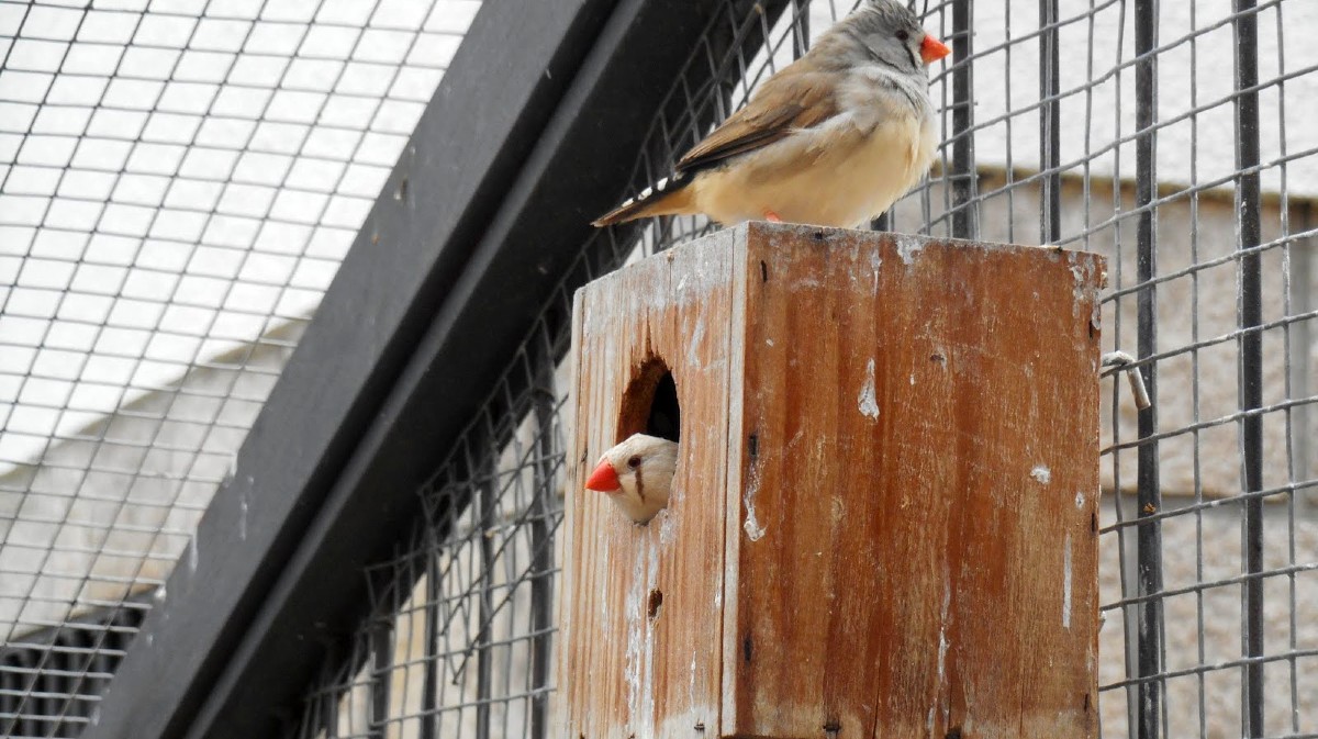 Foto: Luis Miguel Gómez Garrido.