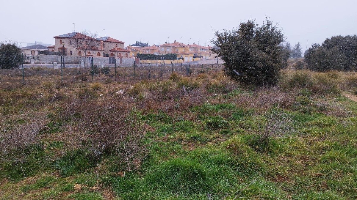 Imagen de la zona de Las Hervenias facilitada por Vox.