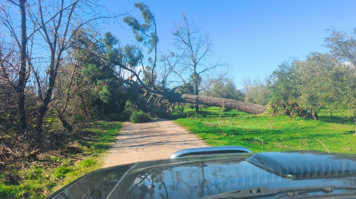 UCCL demanda ayudas a las explotaciones agrarias de Candeleda tras la borrasca Oriana