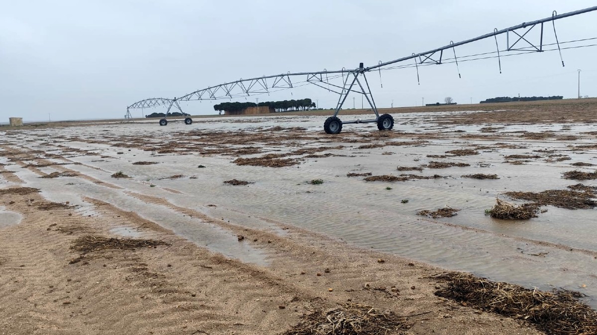 Las lluvias garantizan agua en los embalses, pero ponen en jaque al campo abulense