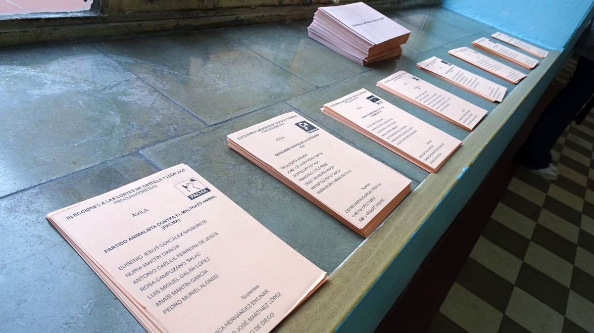 Ávila suma 14 candidaturas para las elecciones autonómicas, que son cinco más que en en 2022