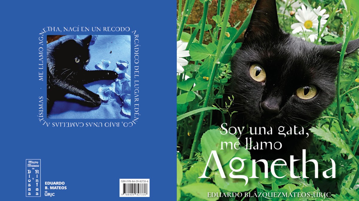 Agnetha, una gata en un jardín de Gredos