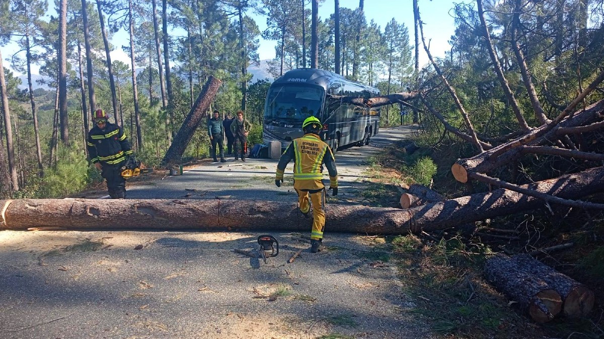 Las pérdidas ocasionadas por el carrusel de borrascas asciende a 15 millones de euros en la provincia