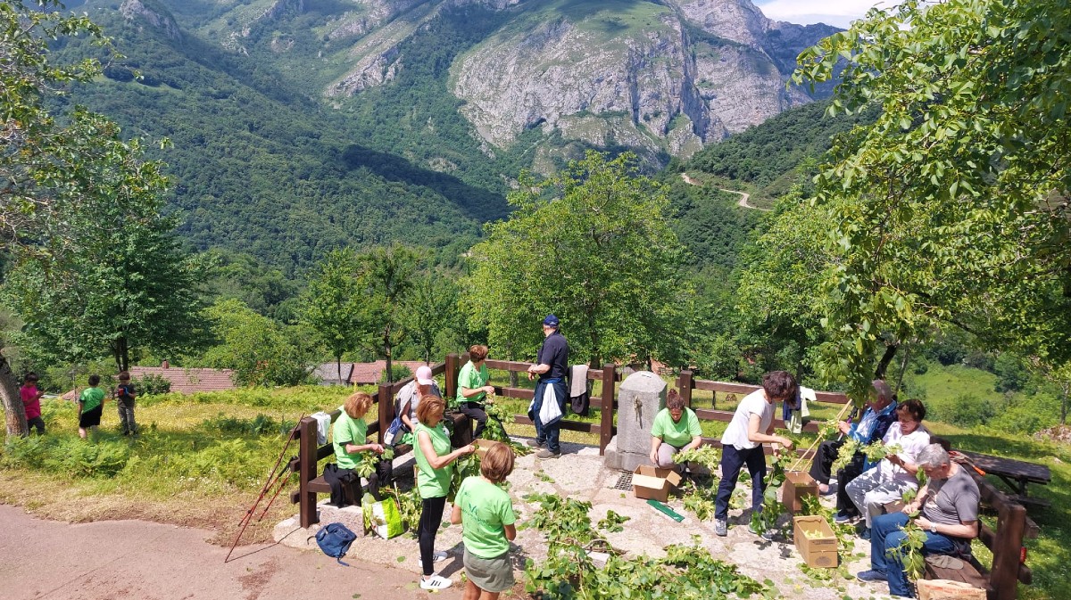Imagen de archivo de una actividad de un grupo de voluntarios ambientales.