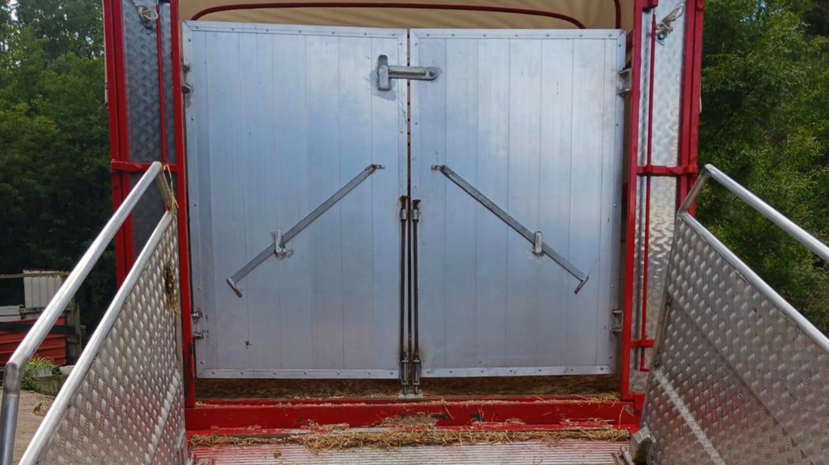 Veh&iacute;culo de transporte ganadero.