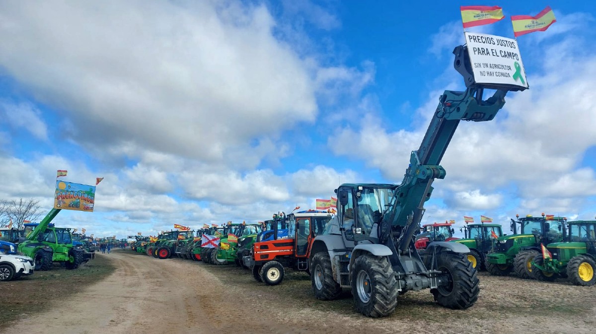 Palacag&uuml;inos en una edici&oacute;n anterior.