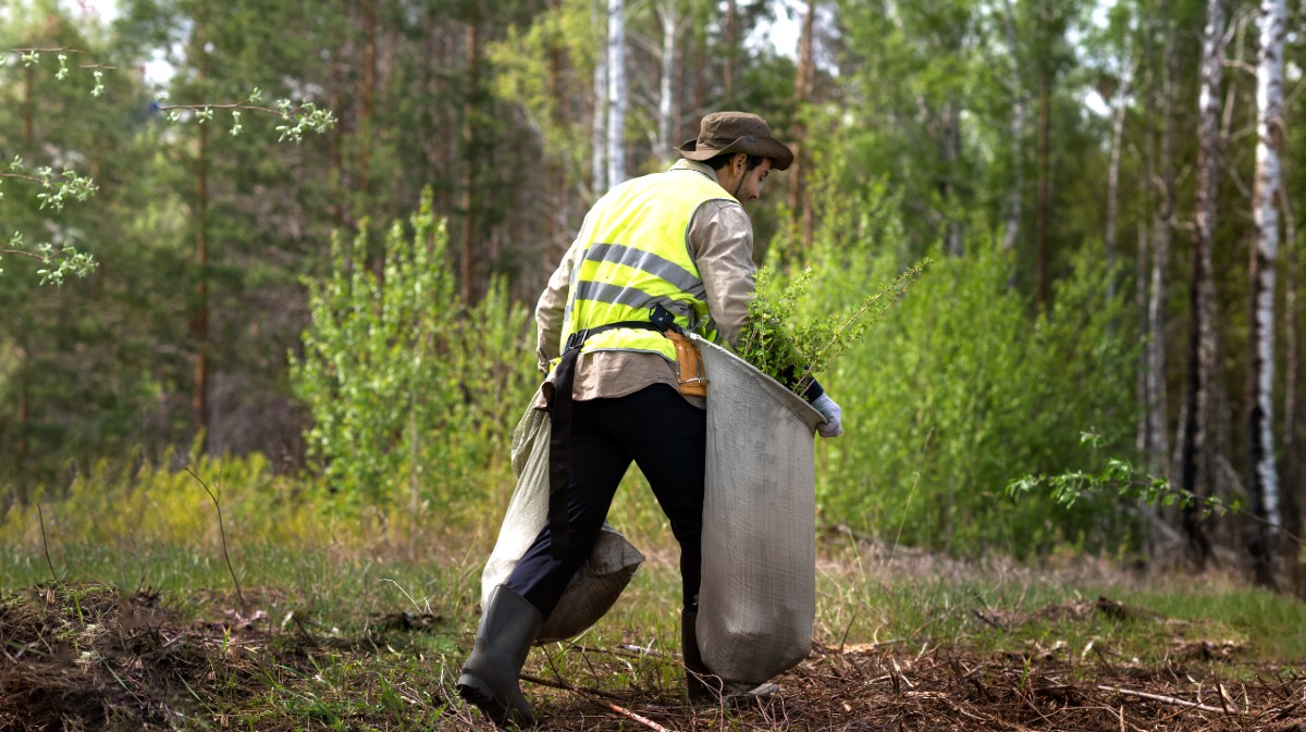 Se acometerán trabajos preventivos de incendios en 66 parcelas de Santa María del Tiétar