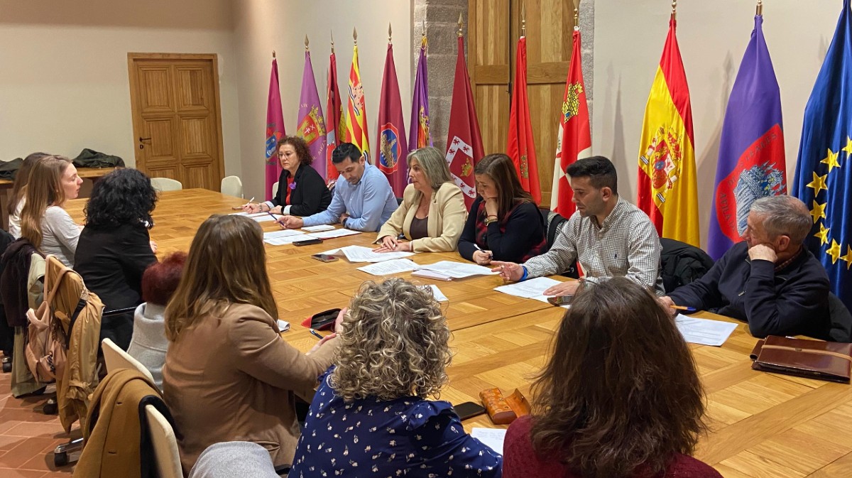 Pleno del Consejo de Igualdad del Ayuntamiento de &Aacute;vila.