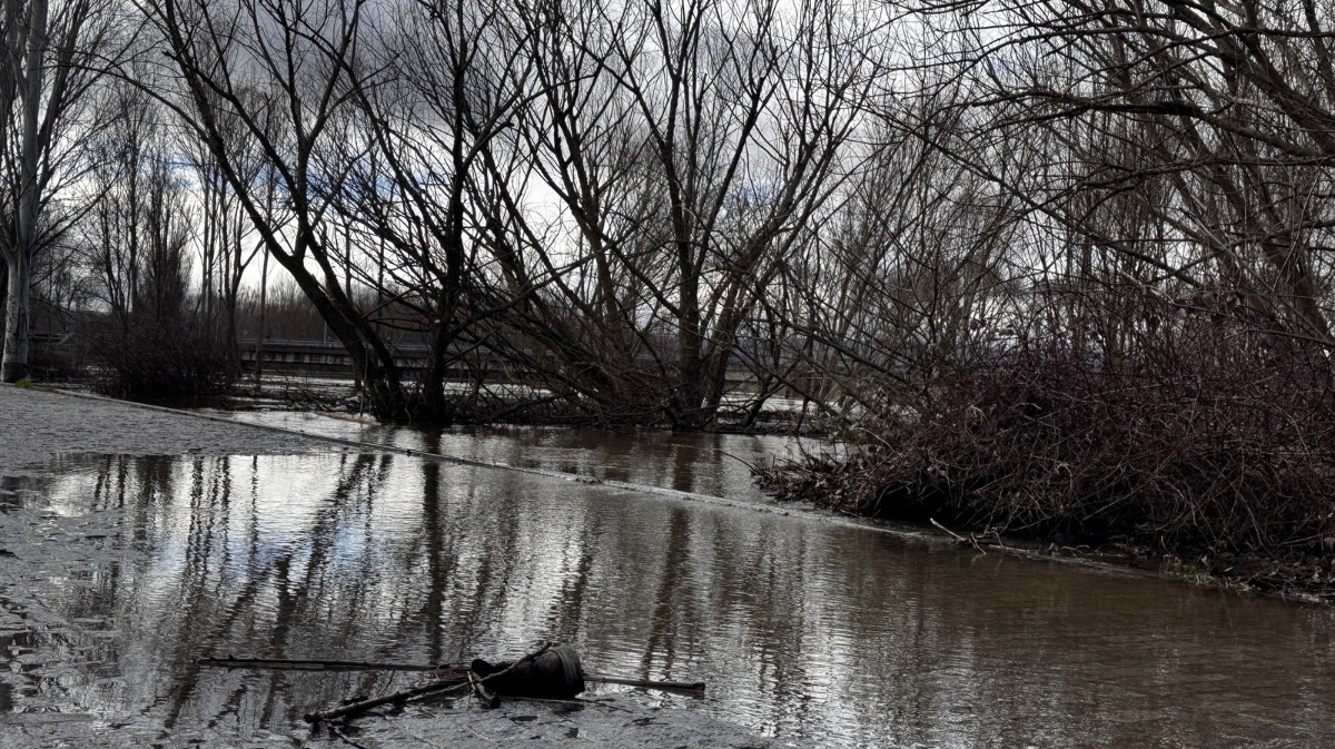 Estado actual del r&iacute;o Adaja