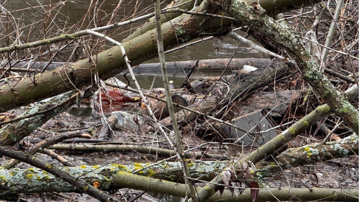 Estado actual del cauce del R&iacute;o Adaja