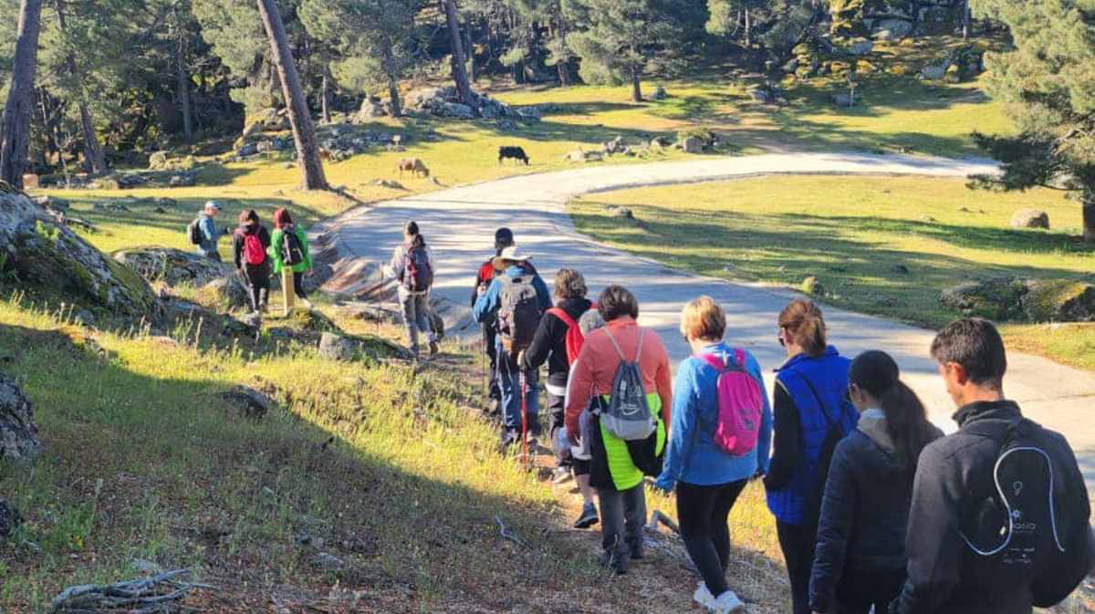 Rutas de senderismo guiadas en Las Navas del Marqués