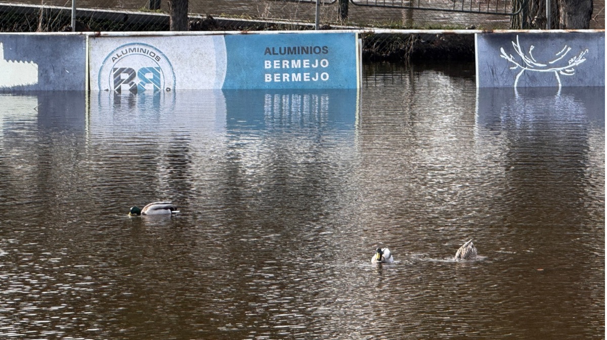 Estado actual del r&iacute;o Adaja
