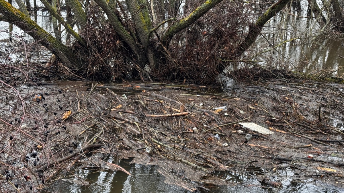 Estado actual del cauce del R&iacute;o Adaja