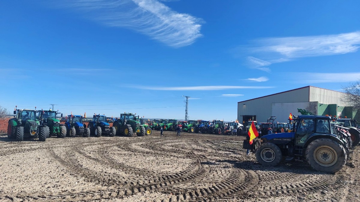 Palagüinos en Palacios de Goda.