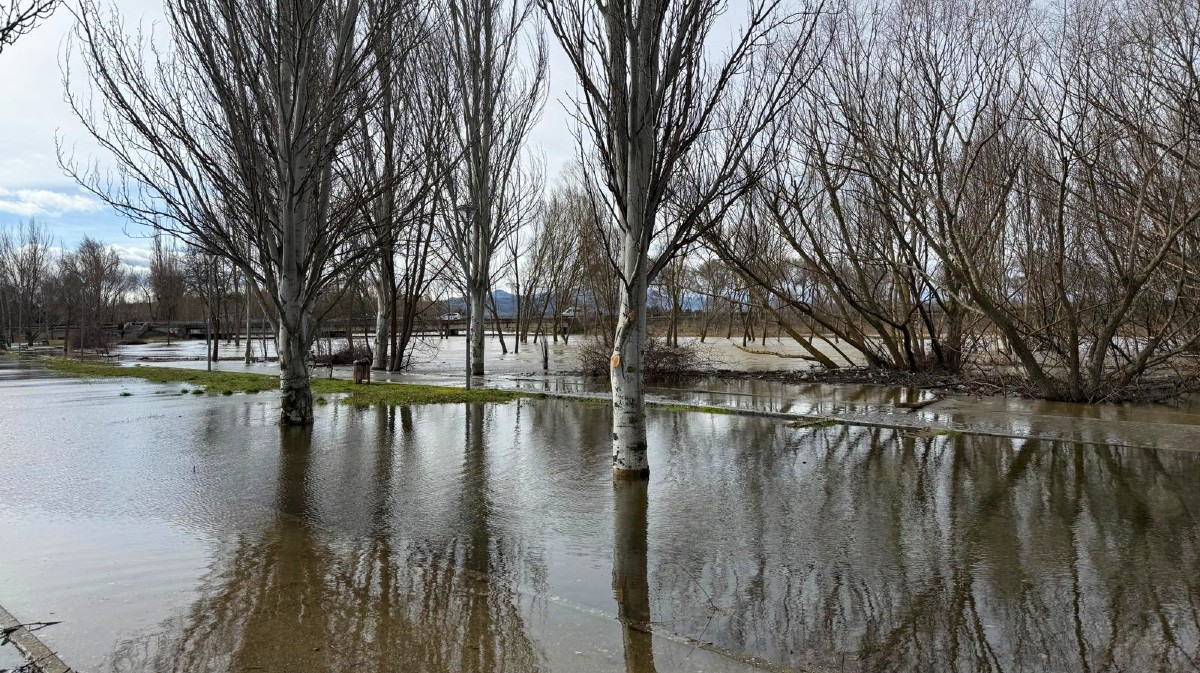 Desbordamiento del r&iacute;o Adaja en la ma&ntilde;ana del mi&eacute;rcoles.