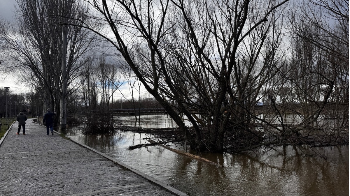 Estado actual del r&iacute;o Adaja