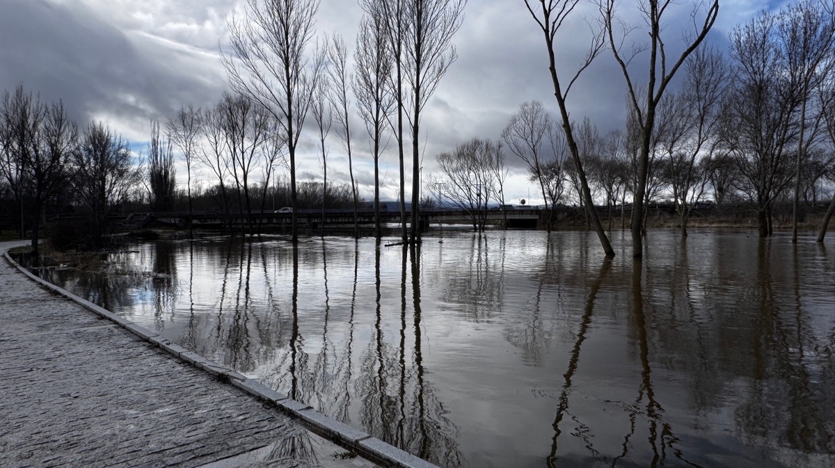 Estado actual del r&iacute;o Adaja