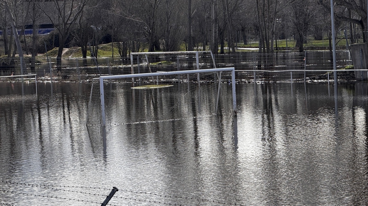 Estado actual del r&iacute;o Adaja