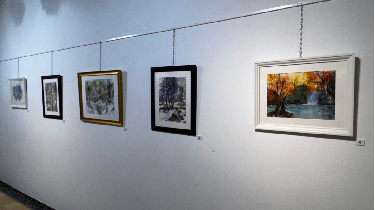 Exposici&oacute;n &lsquo;Agua, color y materia&lsquo;