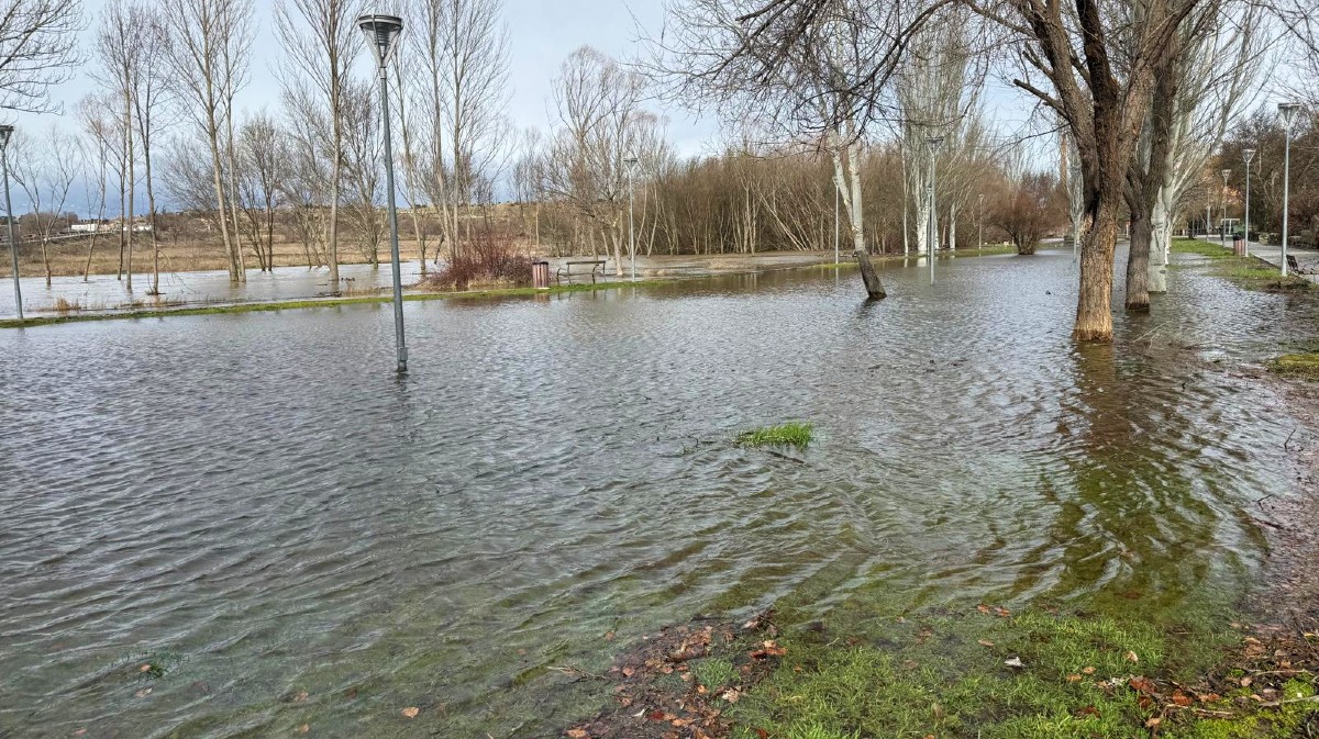 Desbordamiento del r&iacute;o Adaja en la ma&ntilde;ana del mi&eacute;rcoles.