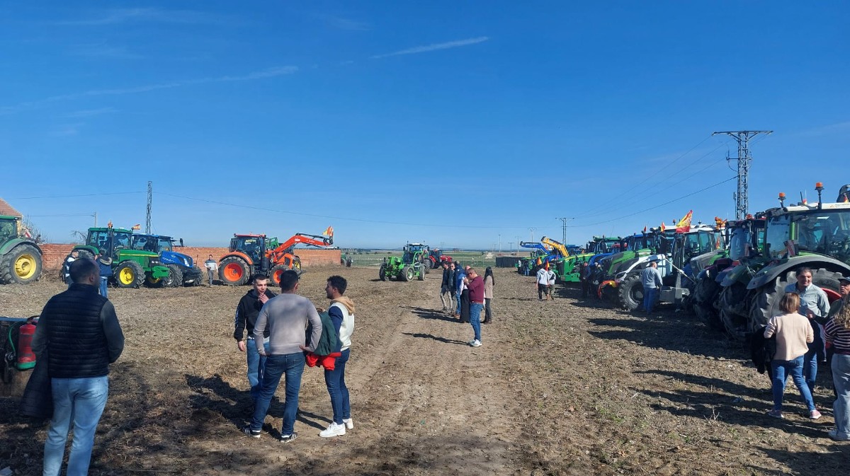 Palagüinos en Palacios de Goda.