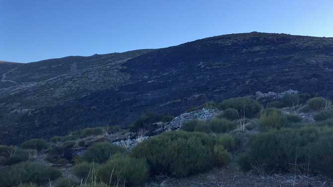 Zona afectada por el incendio en Horcajo de la Rivera. Foto: @soydehorcajo.