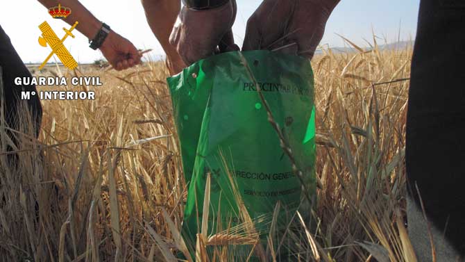 Investigación de la operación Sembra2.