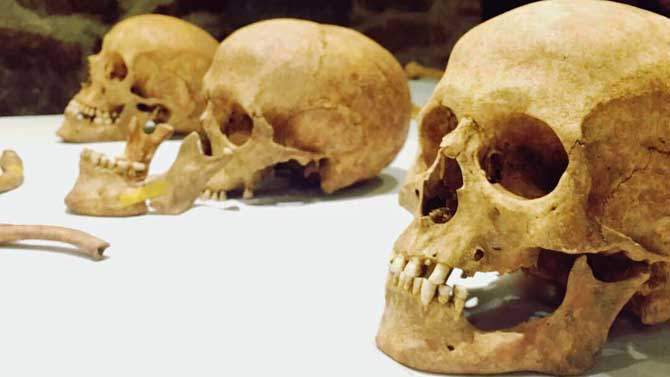 Restos humanos hallados en San Juan del Olmo atribuidos a la refriega de la invasión francesa.