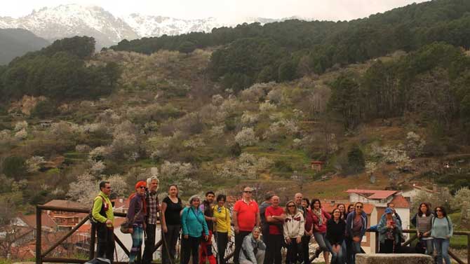 Ruta de los cerezos en flor por El Hornillo.