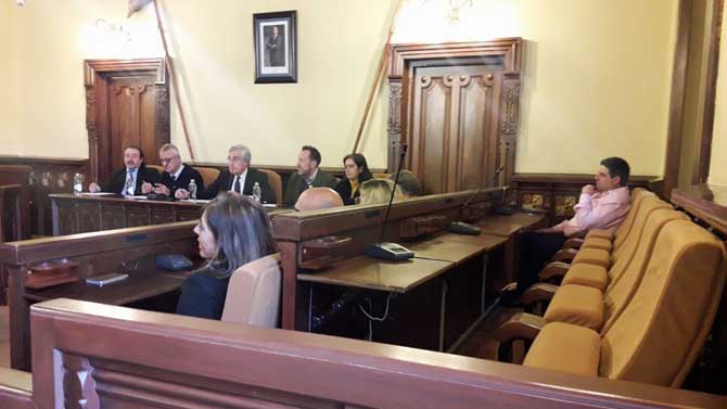 Pleno en el Ayuntamiento de Ávila en el Día de la Mujer.