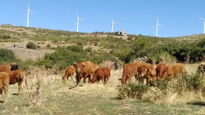Paraje de Las Navas donde iba a levantarse el parque fotovoltaico.